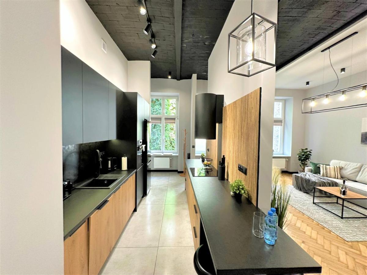 Luxury 100M2 Loft Design-Apartment At Wawel + Netflix クラクフ エクステリア 写真