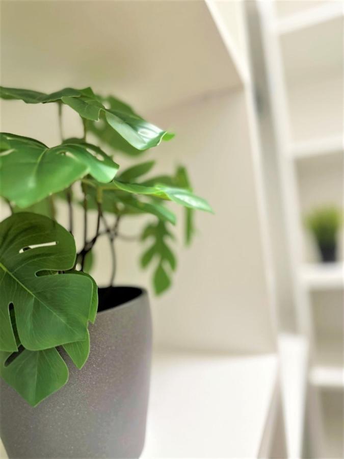 Luxury 100M2 Loft Design-Apartment At Wawel + Netflix クラクフ エクステリア 写真