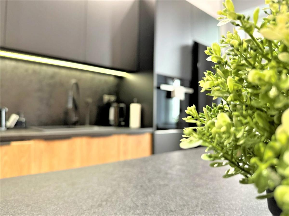 Luxury 100M2 Loft Design-Apartment At Wawel + Netflix クラクフ エクステリア 写真