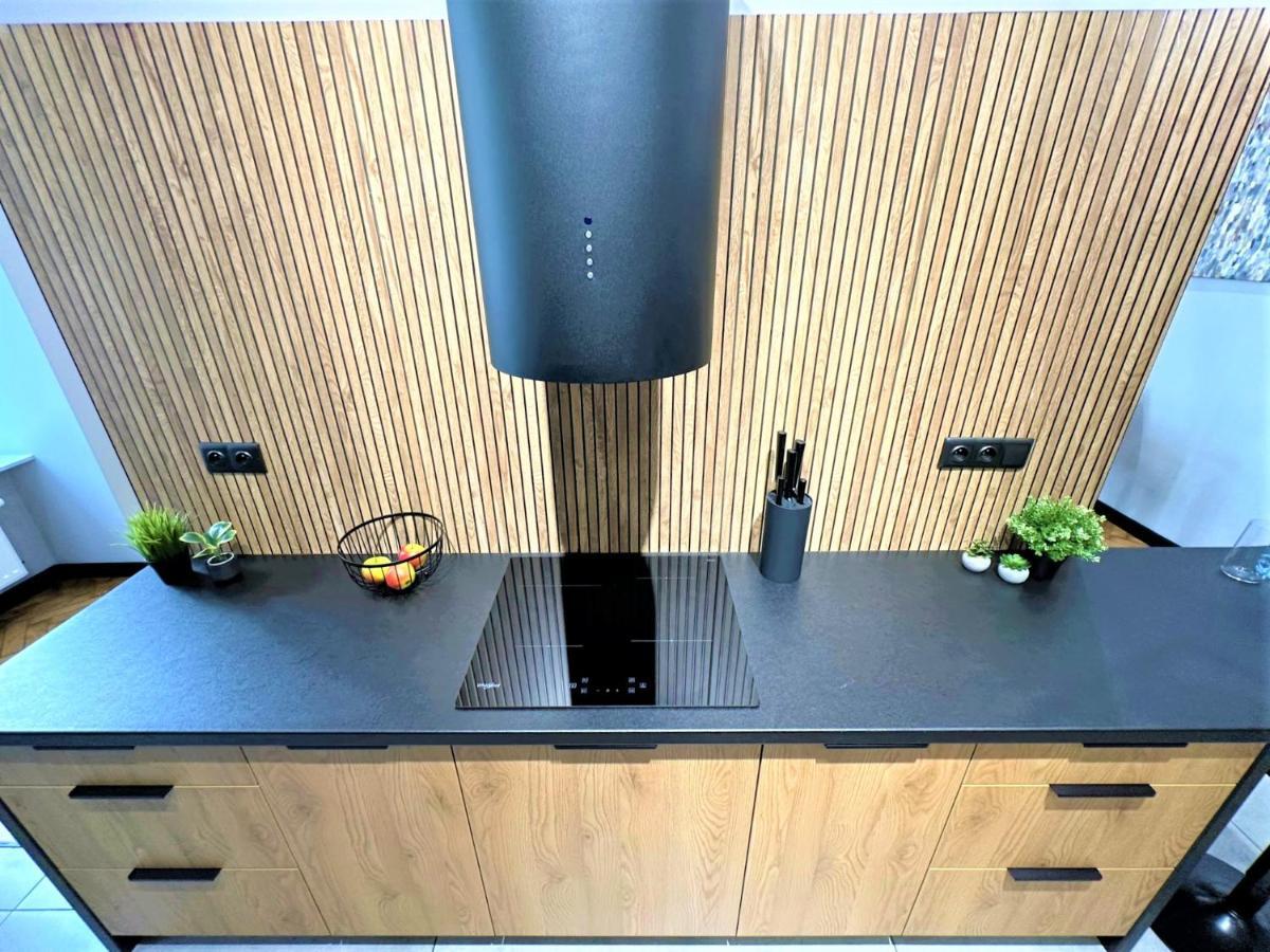 Luxury 100M2 Loft Design-Apartment At Wawel + Netflix クラクフ エクステリア 写真