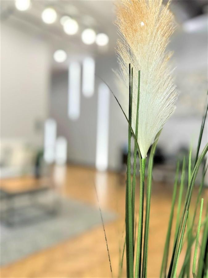 Luxury 100M2 Loft Design-Apartment At Wawel + Netflix クラクフ エクステリア 写真